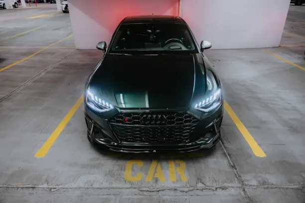 Casino Joe Fortune Android/iOS Forrit